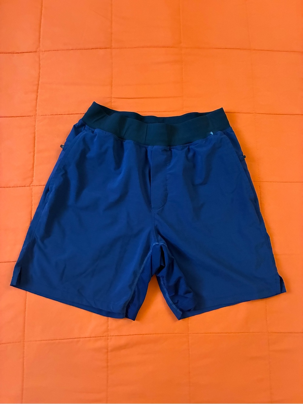 Fabletics Shorts Mens Medium Blue Lined Pockets